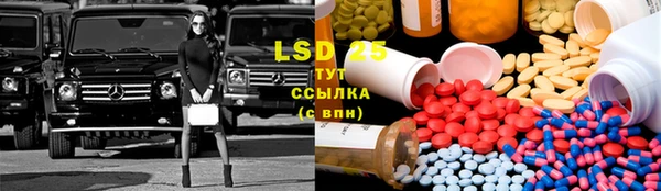 крисы Карталы