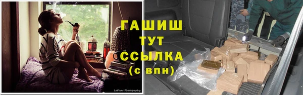 ПСИЛОЦИБИНОВЫЕ ГРИБЫ Касимов