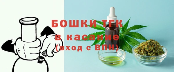 ПСИЛОЦИБИНОВЫЕ ГРИБЫ Касимов