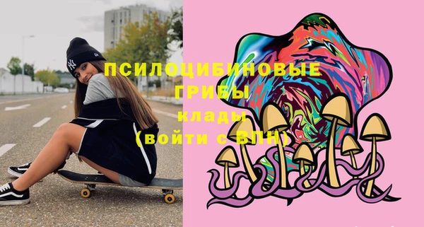 трава Карпинск
