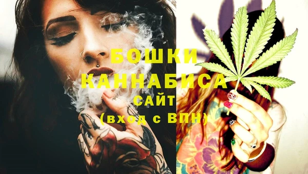 трава Карпинск