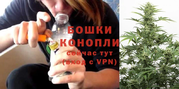 ПСИЛОЦИБИНОВЫЕ ГРИБЫ Касимов
