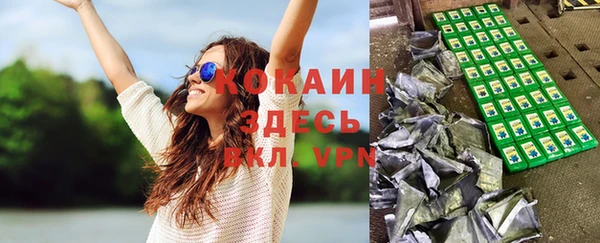 трава Карпинск