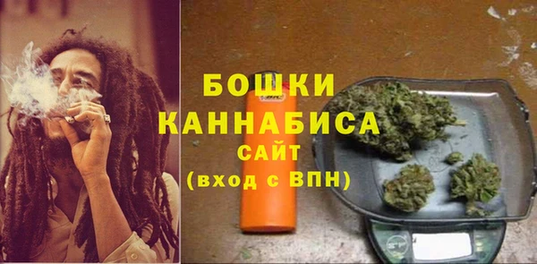 трава Карпинск