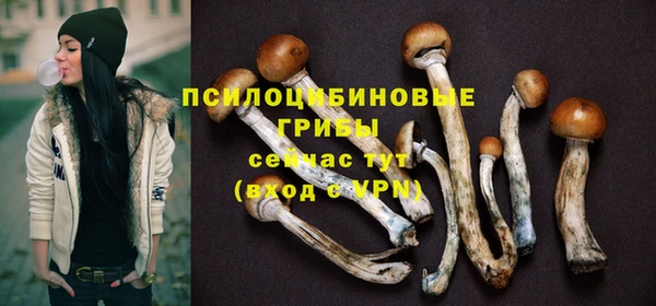 ПСИЛОЦИБИНОВЫЕ ГРИБЫ Касимов