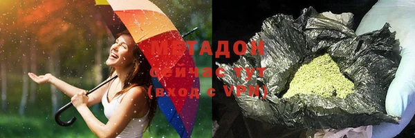 трава Карпинск