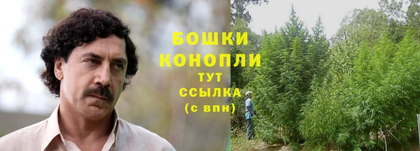 крисы Карталы