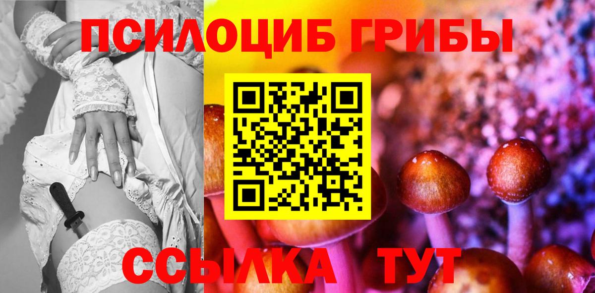купить   Вход с VPN  Юрга  Галлюциногенные грибы Magic Shrooms 